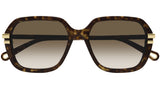 CH0204S 002 Tortoise Brown