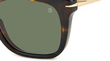 DB 7047/S Dark Havana Gold Green