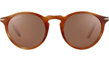 Raffaele 8953 Brown