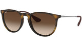 Erika Classic RB4171 matte tortoise