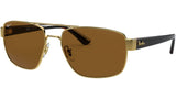 RB3663 brown polarized