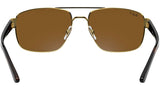 RB3663 brown polarized