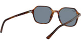 John RB2194 954/62 striped havana