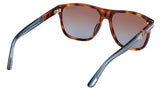 Frances FT1081 53F Havana Blue Brown